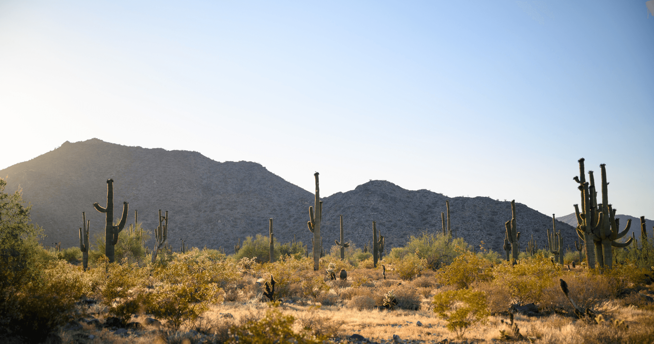 outdoor image mountain image