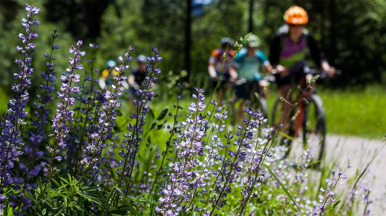 Welcome to the The Estates Collection at Murphy Creek Neighborhood