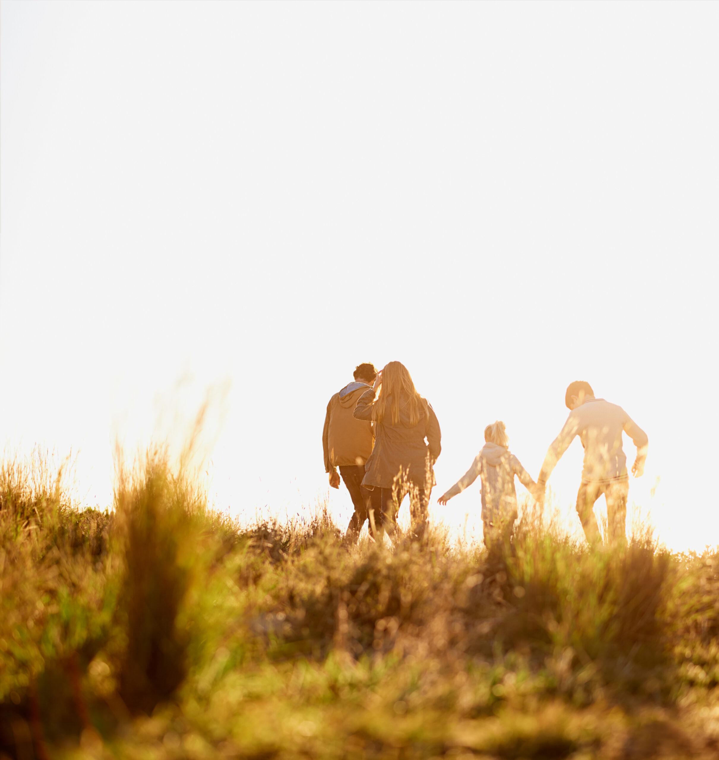 The Legacy Collection at Mead Crossing