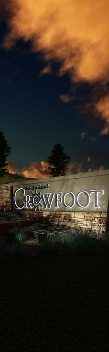 Crowfoot Image